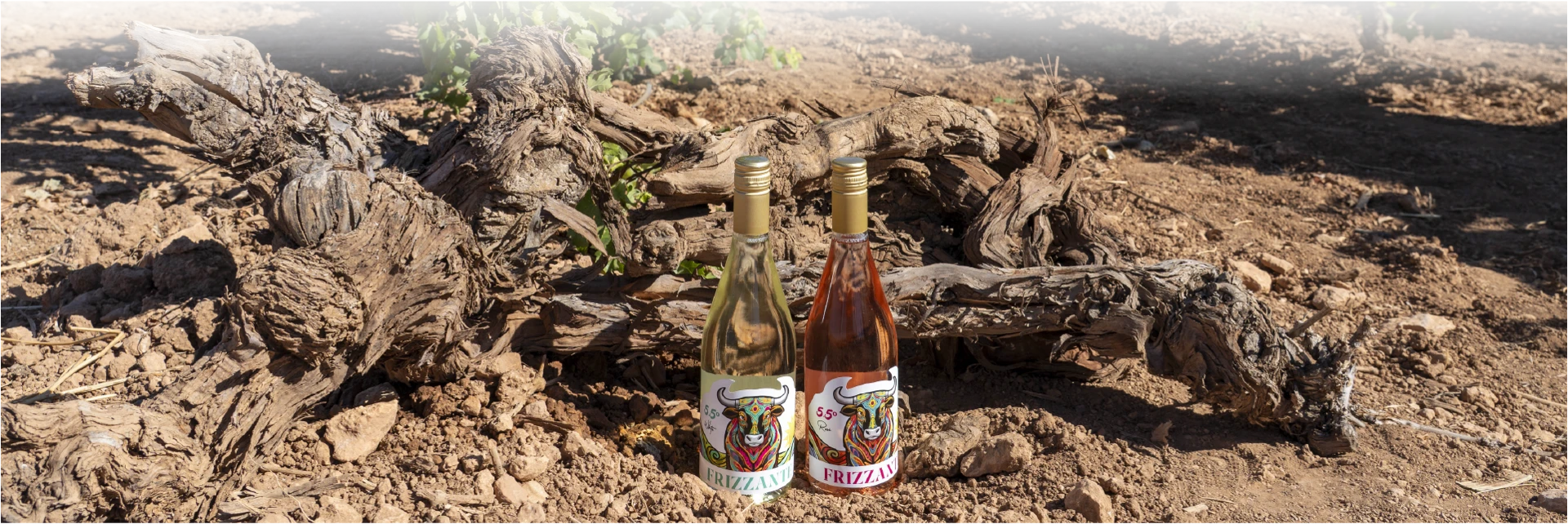 Yuntero espumoso y frizzantes